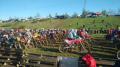 IMG_20250426_0803463